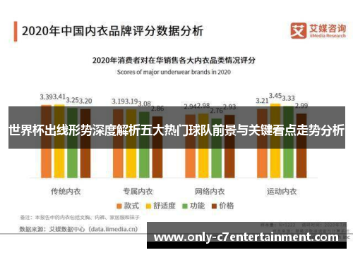 世界杯出线形势深度解析五大热门球队前景与关键看点走势分析
