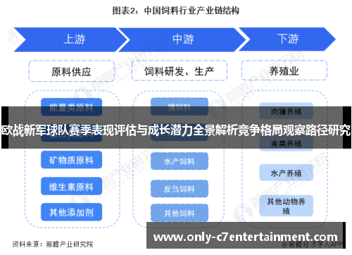欧战新军球队赛季表现评估与成长潜力全景解析竞争格局观察路径研究
