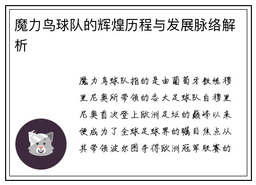 魔力鸟球队的辉煌历程与发展脉络解析